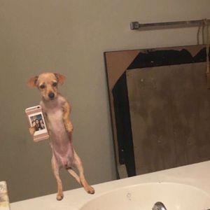 Meet your Posher, Tiffany